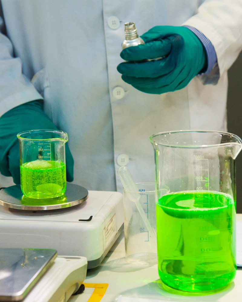 Our services support